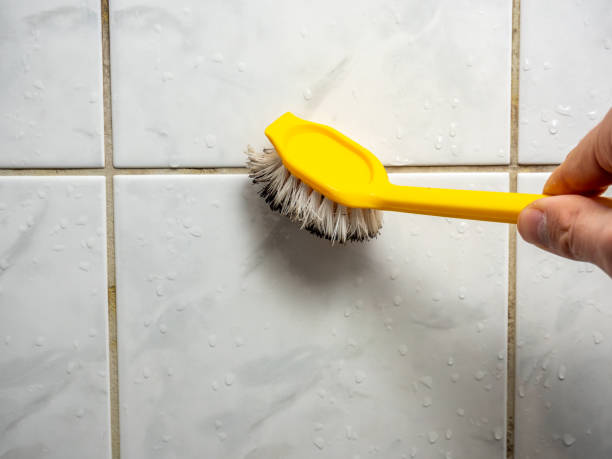 Best Mold Removal Company Near Me  in Columbia, CA