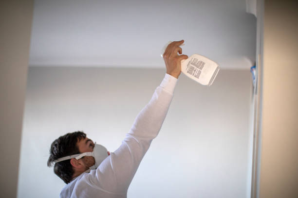 Best Affordable Mold Removal  in Columbia, CA