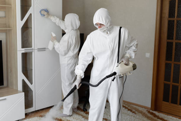 Best Fast Mold Removal  in Columbia, CA