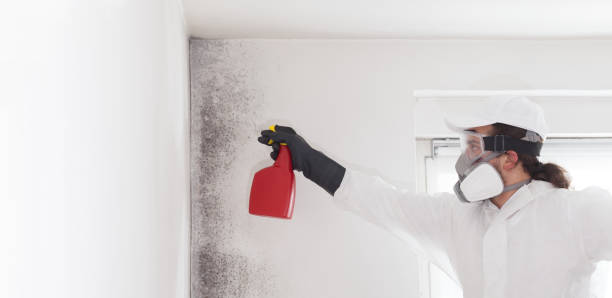 Best Emergency Mold Removal  in Columbia, CA