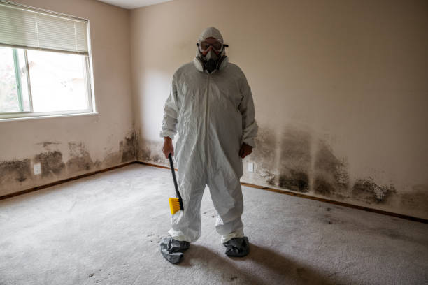 Best Certified Mold Removal  in Columbia, CA